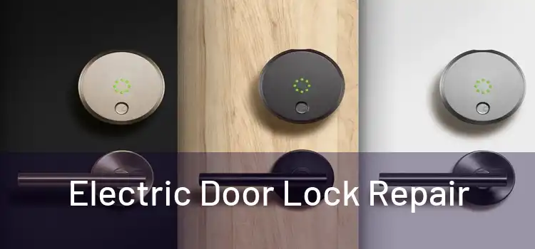 Electric Door Lock Repair