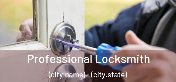 Professional Locksmith (city.name) - (city.state)
